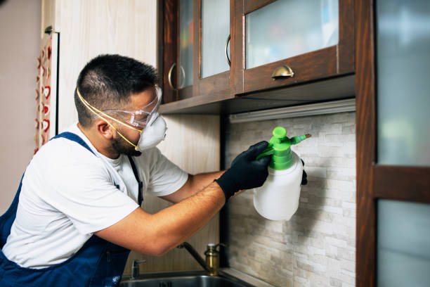 Best Emergency Pest Control  in Sheffield, IA
