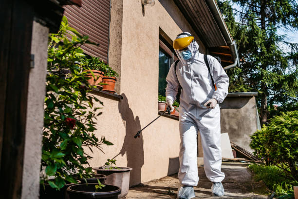 Best Flea Control Services  in Sheffield, IA