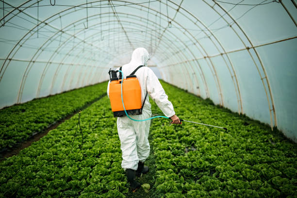 Pest Control for Restaurants in Sheffield, IA