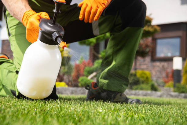 Best Pest Removal Services  in Sheffield, IA