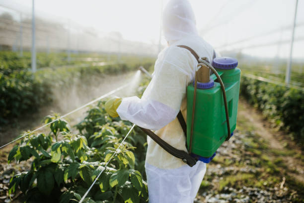 Best Exterminator Services  in Sheffield, IA